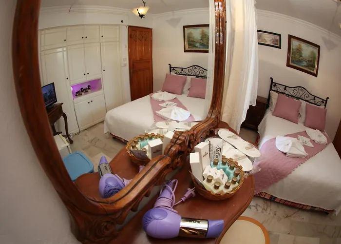 酒店 Alacati Antik *