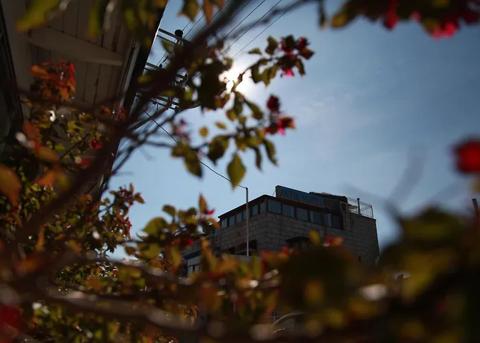 酒店 Alacati Antik Çeşme